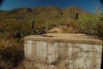 photo thumbnail #9