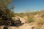 photo thumbnail #13