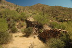 photo thumbnail #3