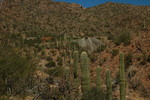 photo thumbnail #6