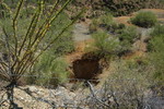 photo thumbnail #14