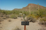 photo thumbnail #1