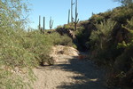 photo thumbnail #4