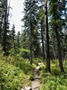 photo thumbnail #9