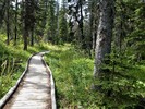 photo thumbnail #10