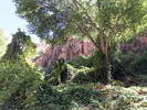 recent photo