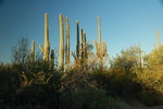 photo thumbnail #4