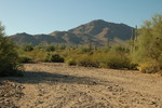 photo thumbnail #13