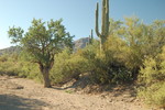 photo thumbnail #14