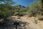 photo thumbnail #15