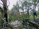 photo thumbnail #11