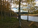 photo thumbnail #8