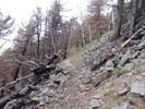 photo thumbnail #1