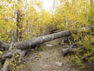 photo thumbnail #5