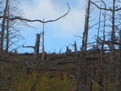 photo thumbnail #6