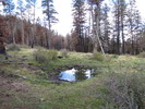 photo thumbnail #8