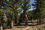 photo thumbnail #5