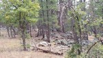photo thumbnail #13