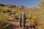 photo thumbnail #4