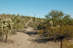 photo thumbnail #7