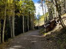 photo thumbnail #3
