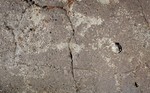 photo thumbnail #15
