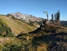 photo thumbnail #9