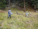 photo thumbnail #7