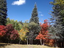 photo thumbnail #1