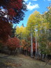 photo thumbnail #5
