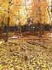 photo thumbnail #9