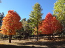 photo thumbnail #11