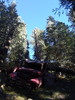 photo thumbnail #12