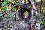 photo thumbnail #7