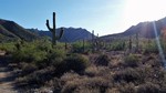 photo thumbnail #2