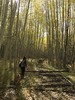 photo thumbnail #2