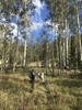 photo thumbnail #5