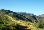 photo thumbnail #3