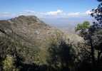 photo thumbnail #12