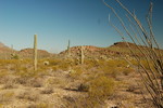 photo thumbnail #5