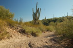 photo thumbnail #6