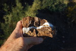 photo thumbnail #9