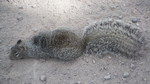 photo thumbnail #15