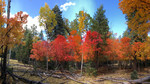 photo thumbnail #6