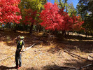 photo thumbnail #4