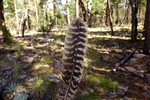 photo thumbnail #9