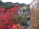photo thumbnail #3