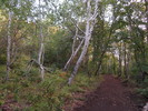 photo thumbnail #9