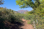 photo thumbnail #3