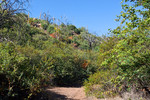 photo thumbnail #4